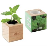 VASO MENTA